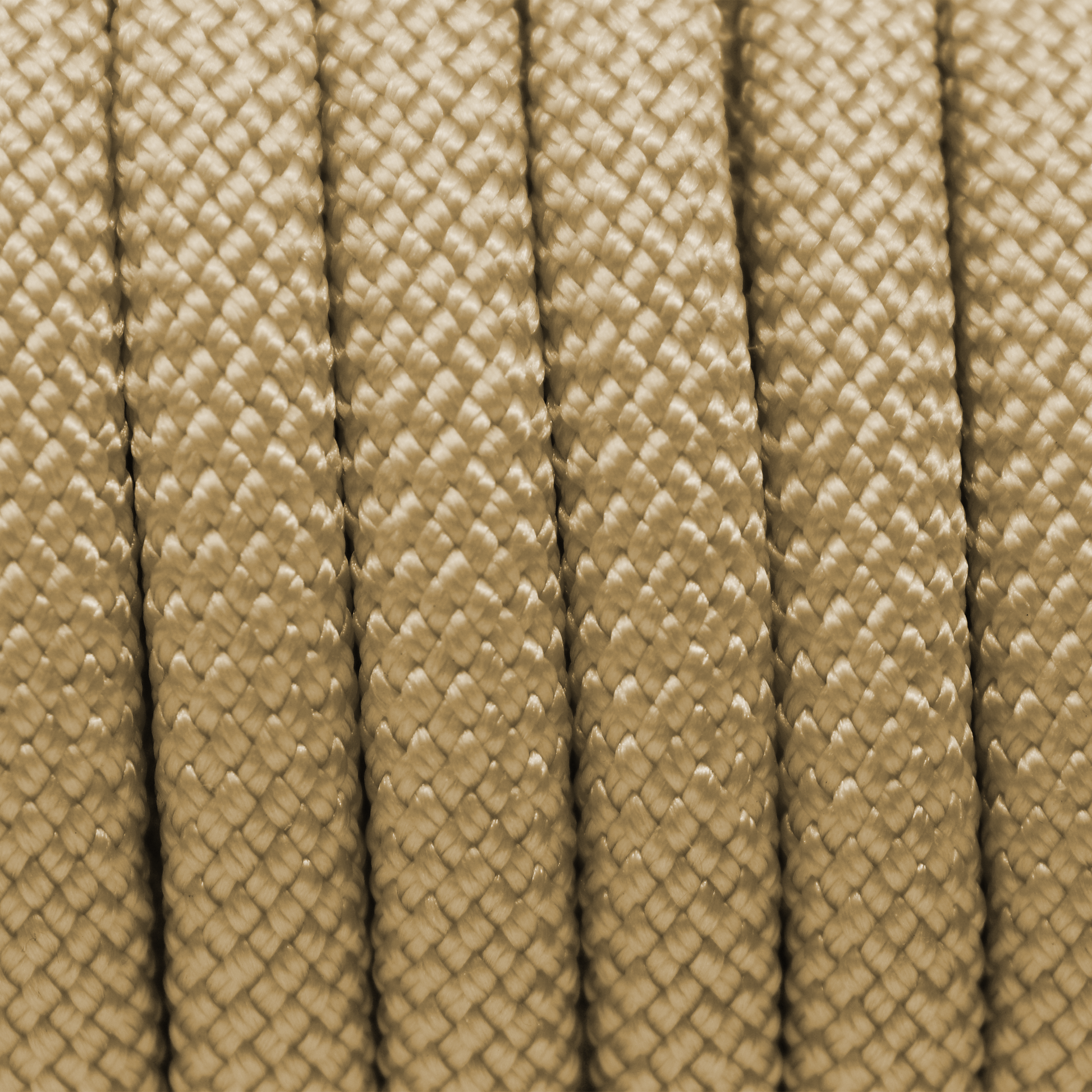 PACO & FAY Hundeleine Seil 10mm Nylon GOLD