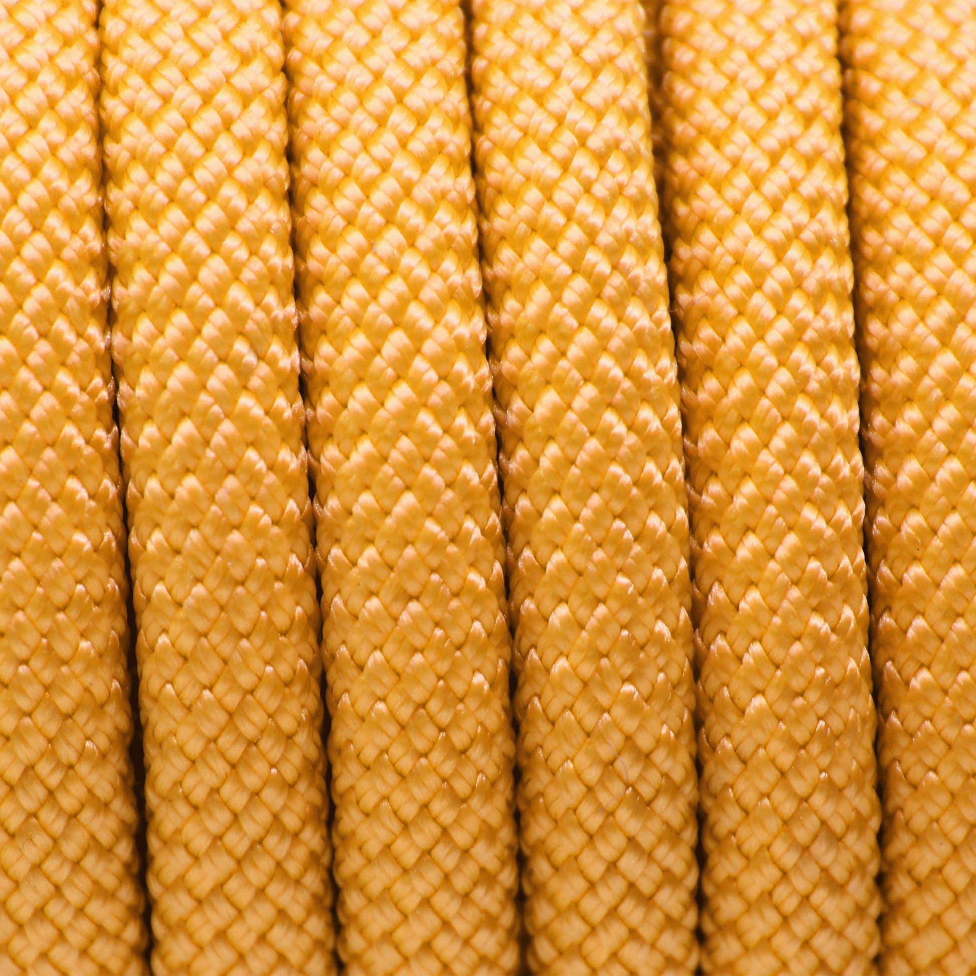 PACO & FAY Hundeleine Seil Nylon 10mm GOLDENROD