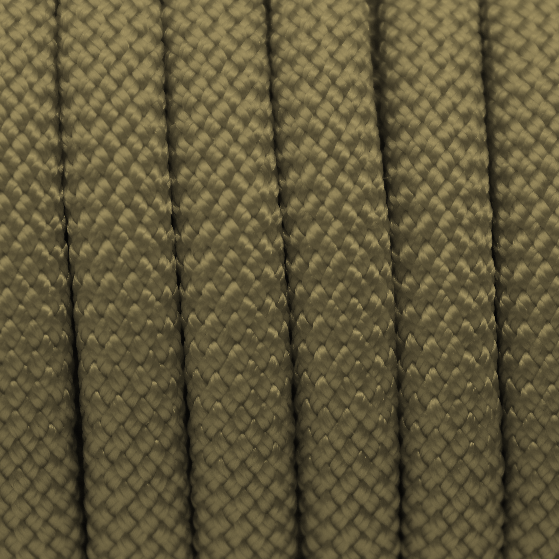 PACO & FAY Hundeleine Seil 10mm Nylon OLIVE DRAB