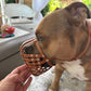 Maulkorb American Bully aus BioThane von PACOandFAY