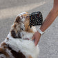 Maulkorb für Australian Shepherd