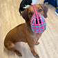 Maulkorb aus BioThane für die Rasse Rhodesian Ridgeback