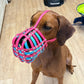 Maulkorb aus BioThane für die Rasse Rhodesian Ridgeback