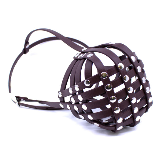 Maulkorb aus BioThane für Astralian Cattle Dog in dunkelbraun