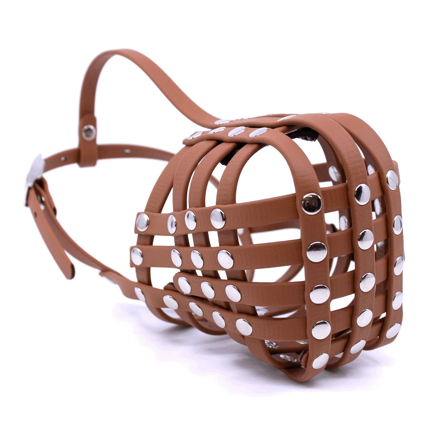 Maulkorb Australian Shepherd in rotbraun