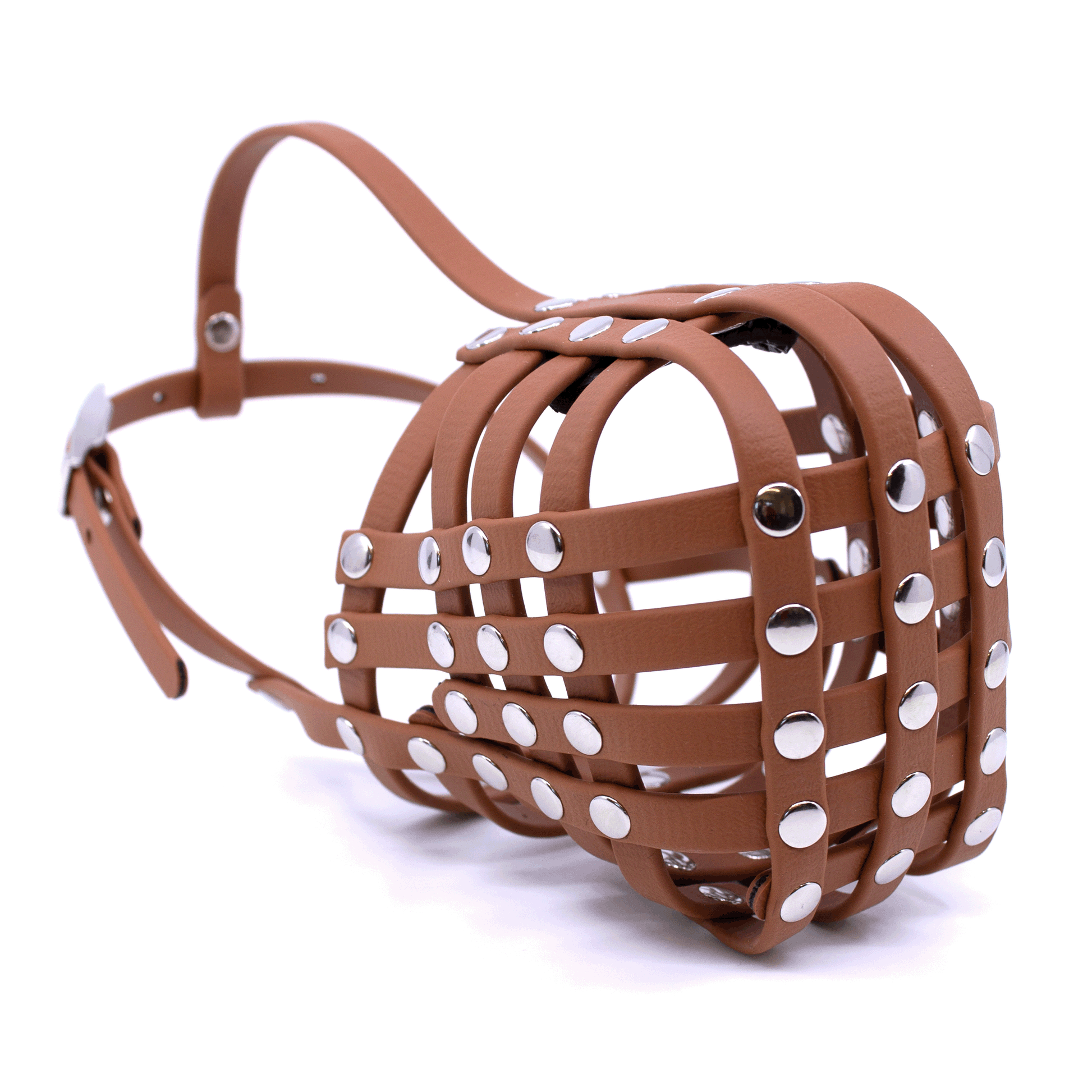 Maulkorb Australian Shepherd in rotbraun