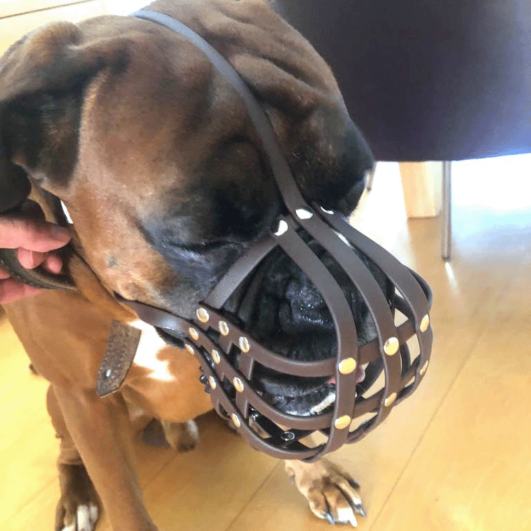 Maulkorb Deutscher Boxer aus BioThane