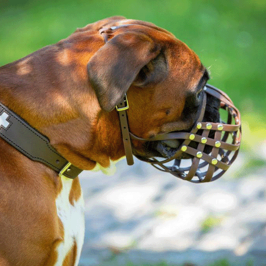 Maulkorb Deutscher Boxer aus BioThane