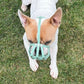 Maulkorb Frenchie mint green