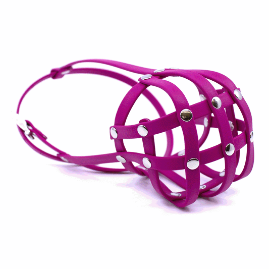 Maulkorb aus BioThane für Frenchie in berry pink