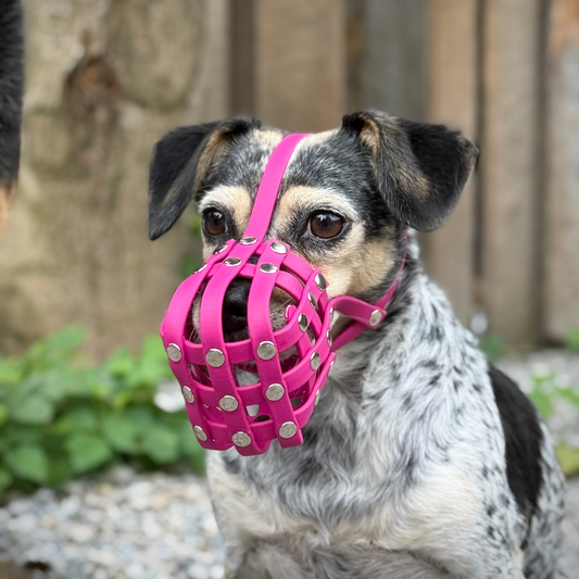 Maulkorb aus BioThane für Mischling, Kleiner Hund Nr. 01