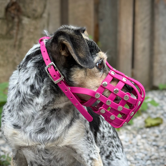 Maulkorb aus BioThane für Mischling, Kleiner Hund Nr. 01