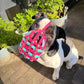 Maulkorb Old Englische Bulldogge in skyan und passion von PACOandFAY