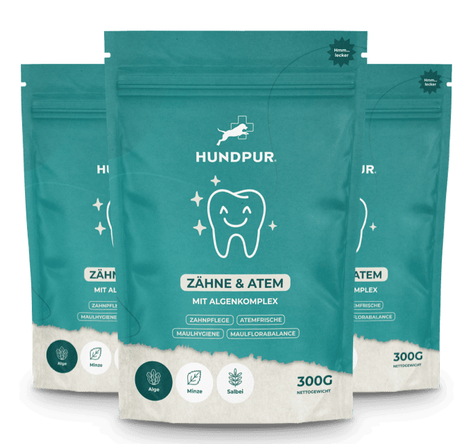 Hundpur® Zähne & Atem