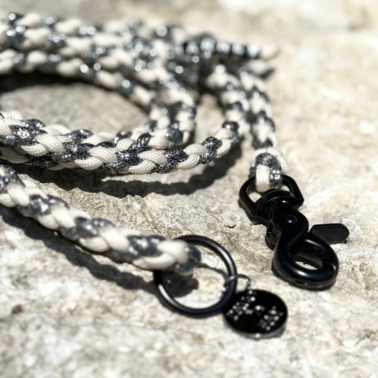 Hundeleine aus Paracord von PACOandFAY