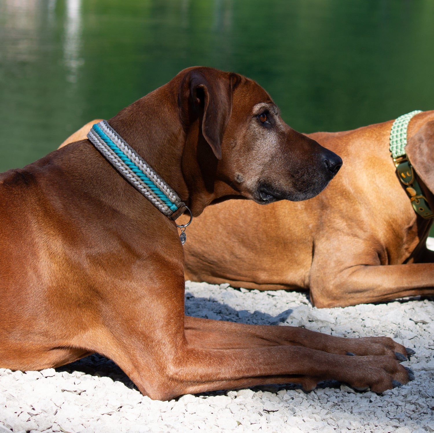 PACO & FAY Paracord Halsband BEACH