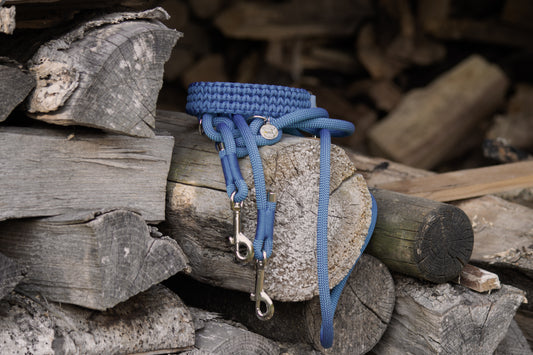 Set Halsband & Leine (HU 38-44cm)