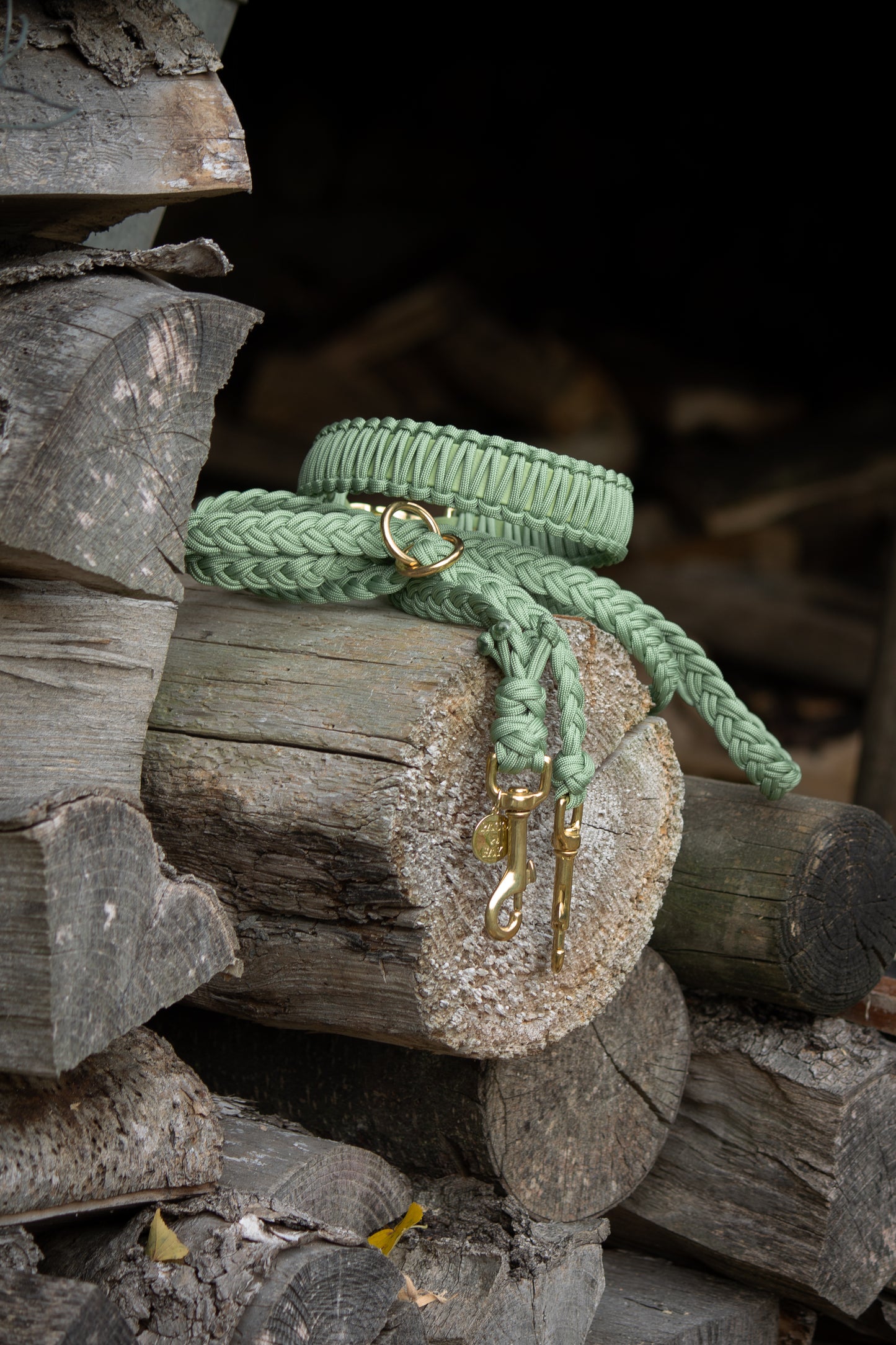 Set Halsband & Leine (HU 39-45cm)