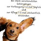 Riolino PureEars Ohrenreiniger 250ml