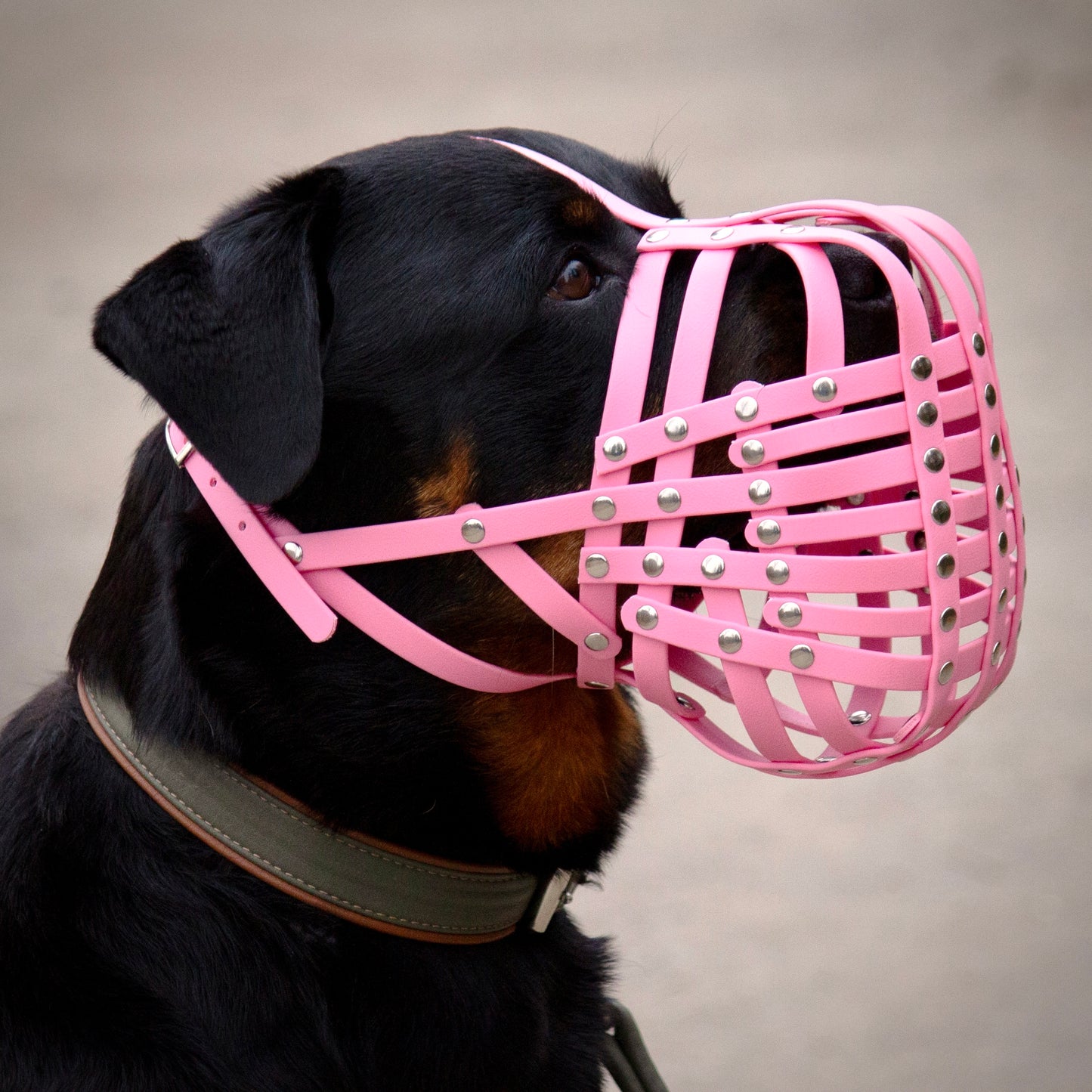 BioThane Maulkorb für Rottweiler in pastell rosa