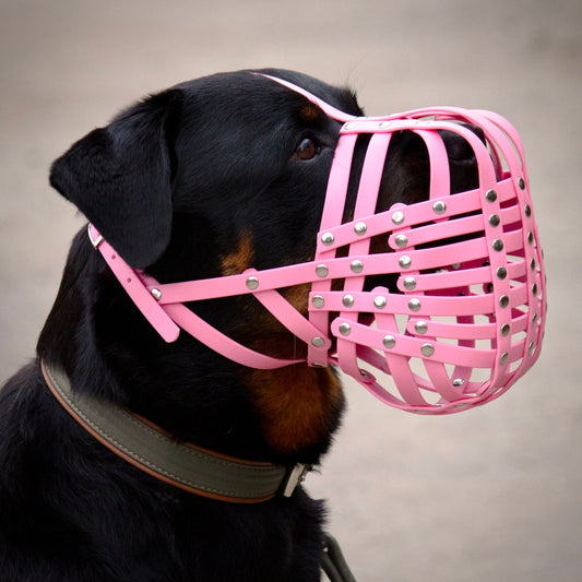 BioThane Maulkorb für Rottweiler in pastell rosa