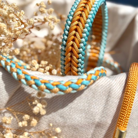 PACO & FAY Leine und Halsband aus Paracord und Tau