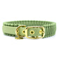Paracord Hundehalsband SKY in holy guacamole