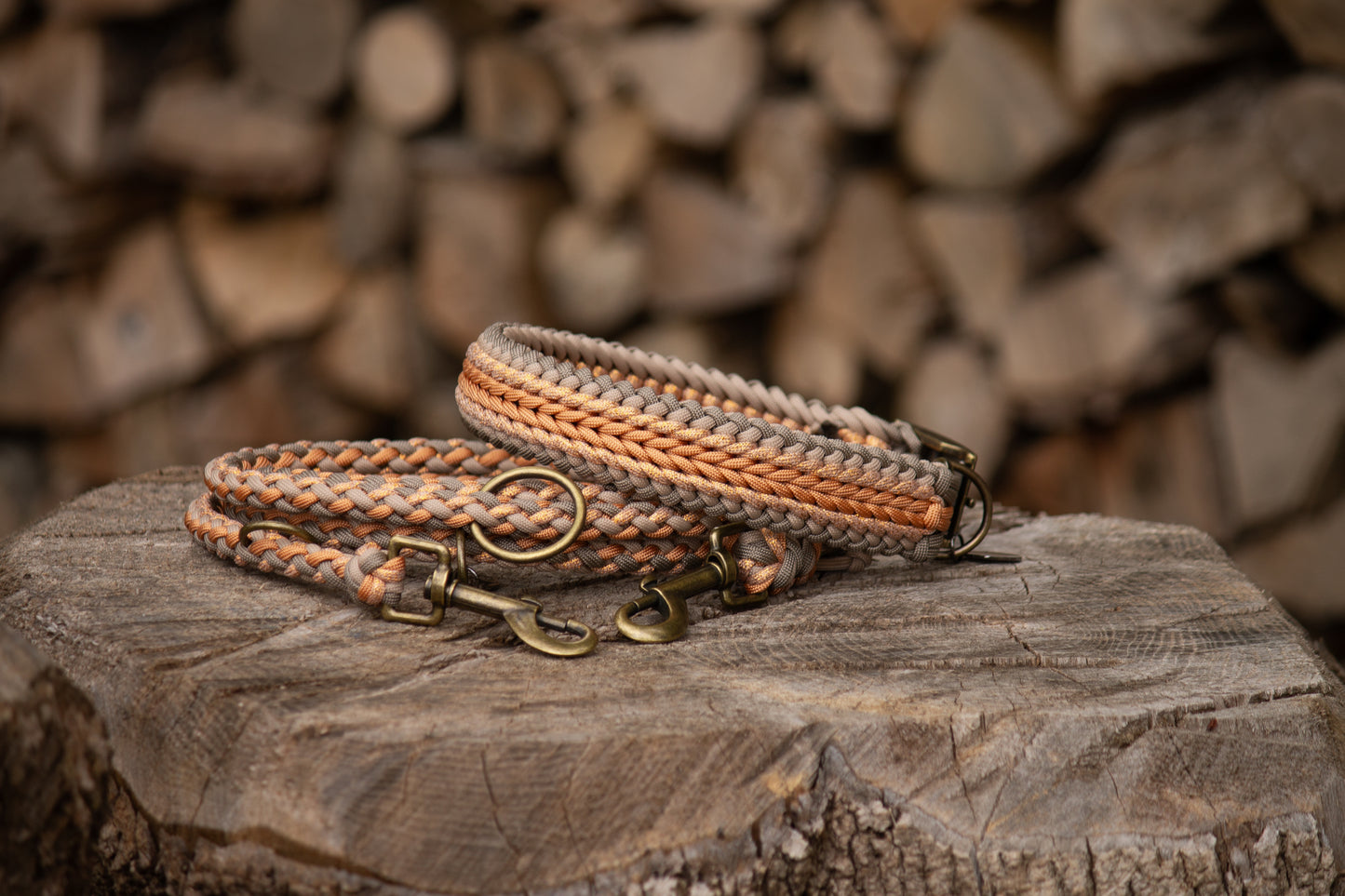 Set Halsband & Leine (HU 43-49cm)