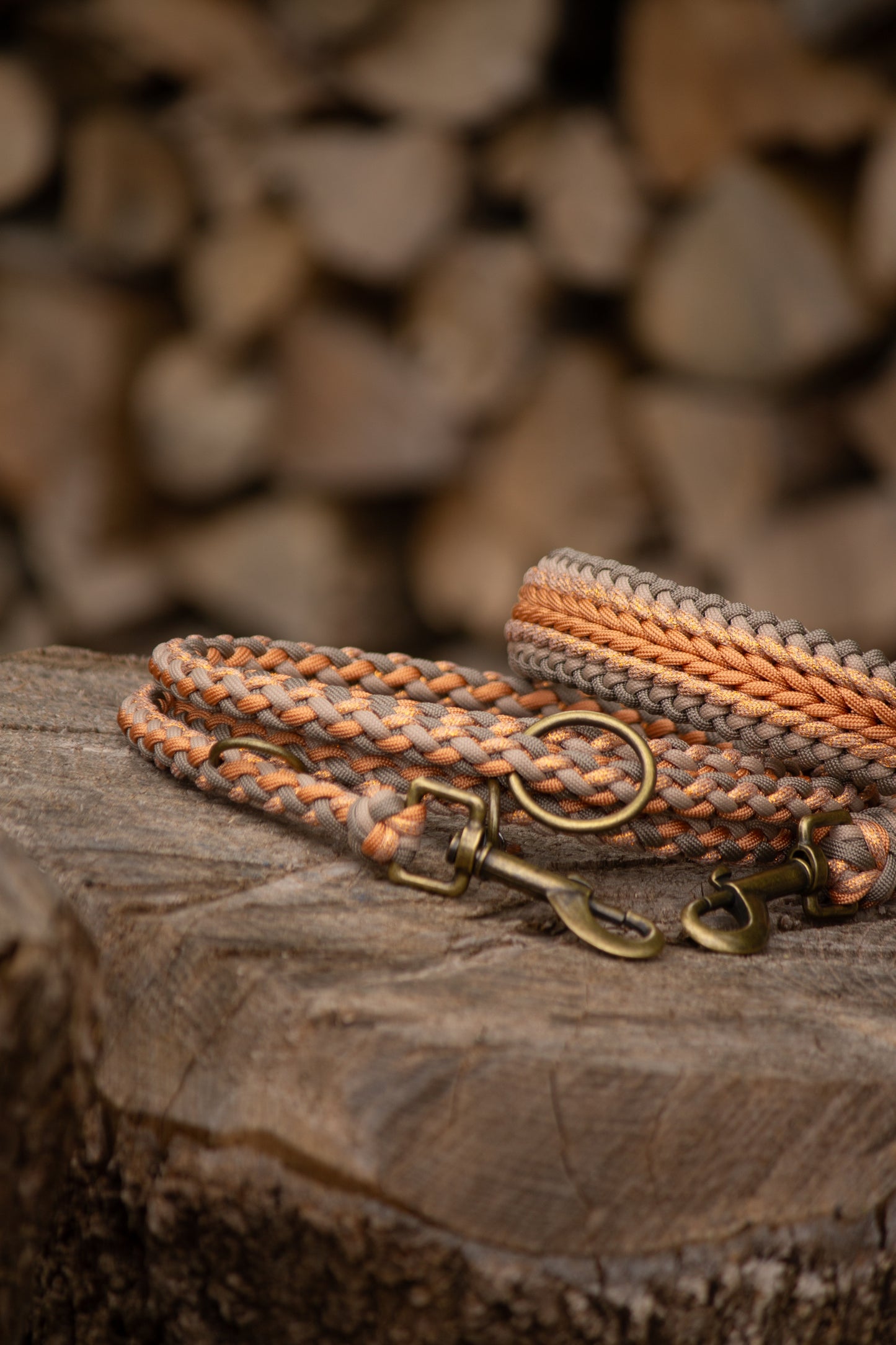 Set Halsband & Leine (HU 43-49cm)