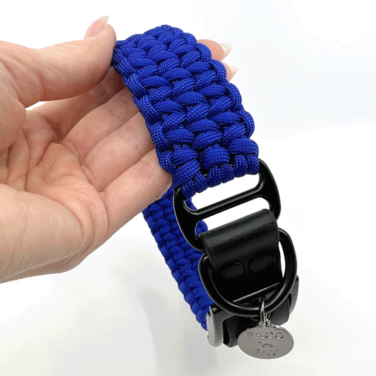 PACO & FAY Paracord Halsband, blaues Hundehalsband, Biothane®