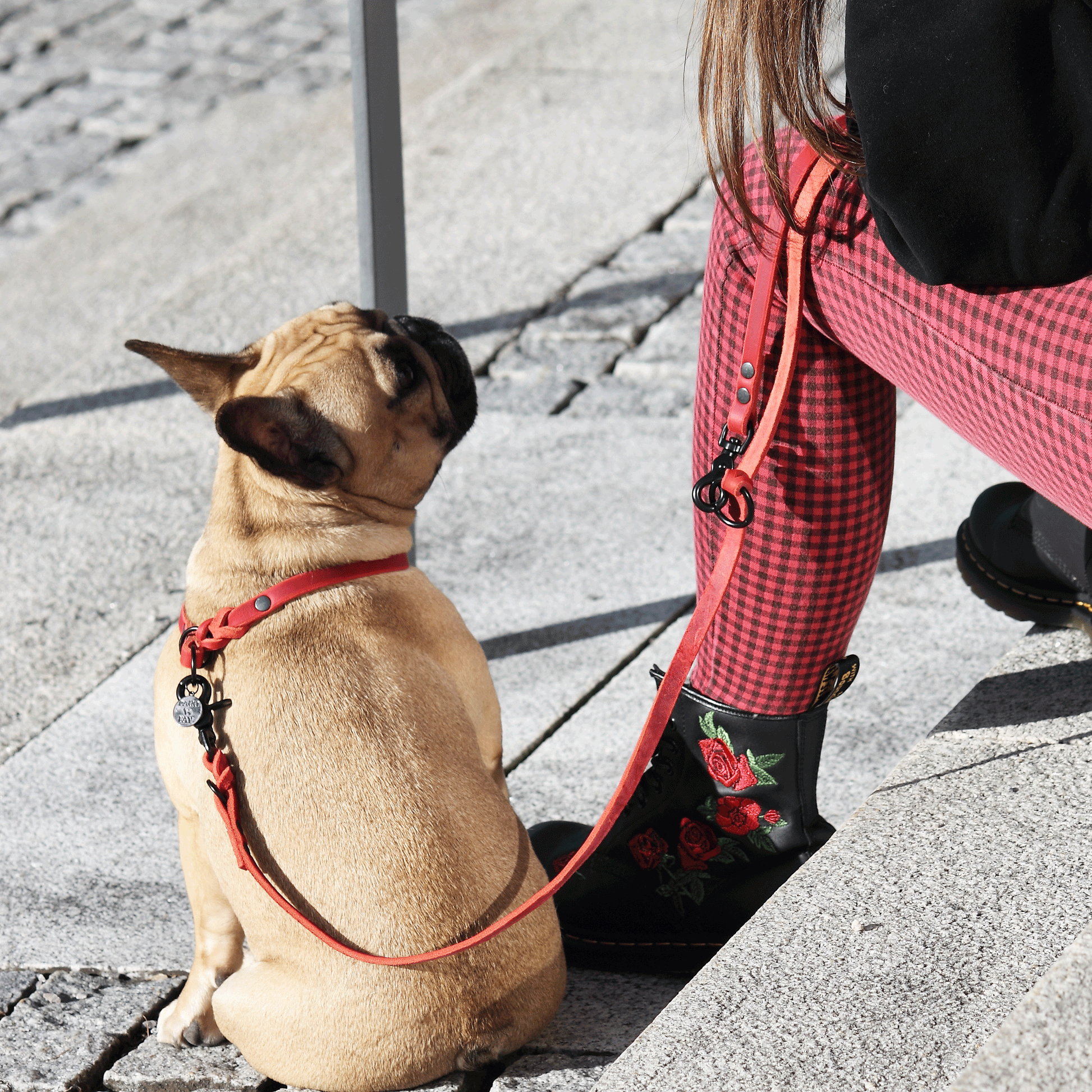 Führleine und Zugstopp Halsband aus Fettleder in rot mit schwarzen Beschlägen