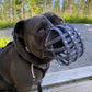 Dreiviertel-Profil einer grauen Old English Bulldogge mit grauem Biothane-Maulkorb für Plattnasen, sitzend auf einer Holzbank im Freien.
