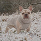 Softshell Hundemantel in beige und creme