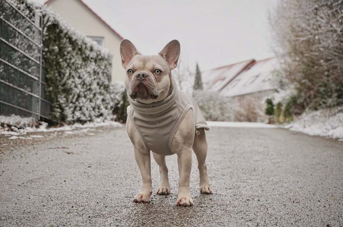 Softshell Hundemantel in beige