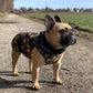 Softshell Hundemantel Französische Bulldogge camouflage