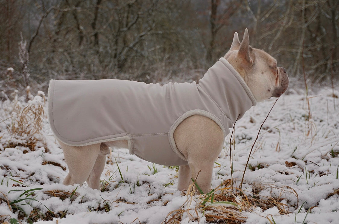 Softshell Hundemantel in beige für Französische Bulldogge